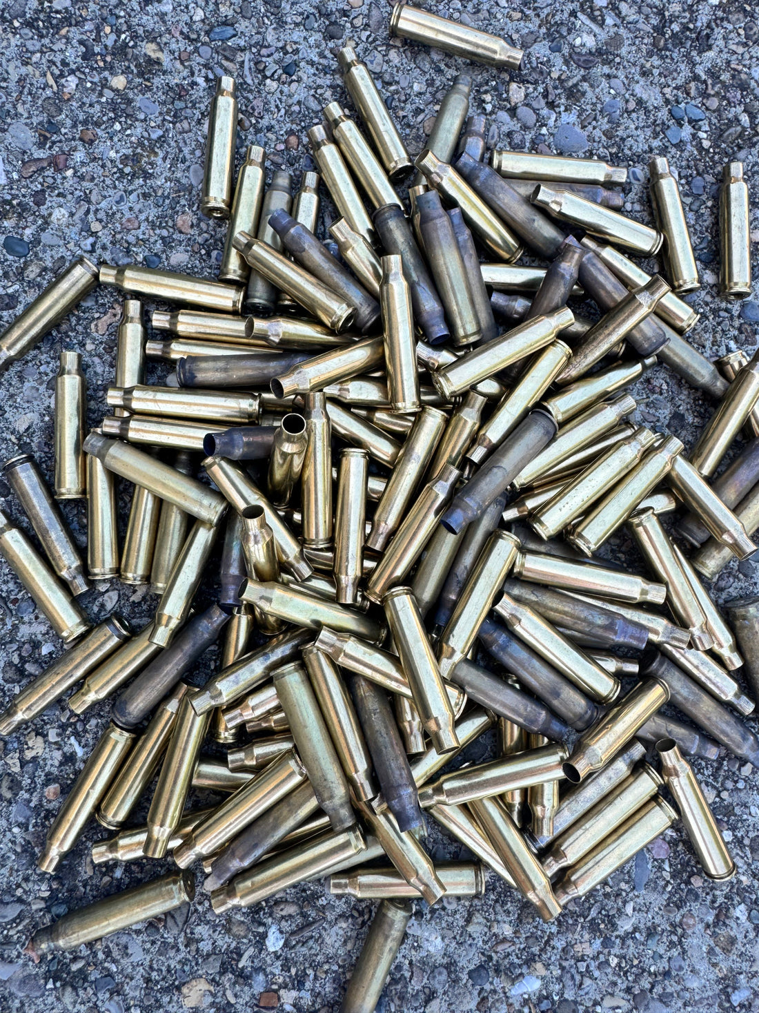 Why Smart AR-15 Shooters Stopped Picking Up Brass